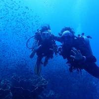 Local Divers