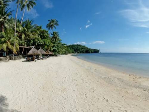 Easy Diving Sipalay