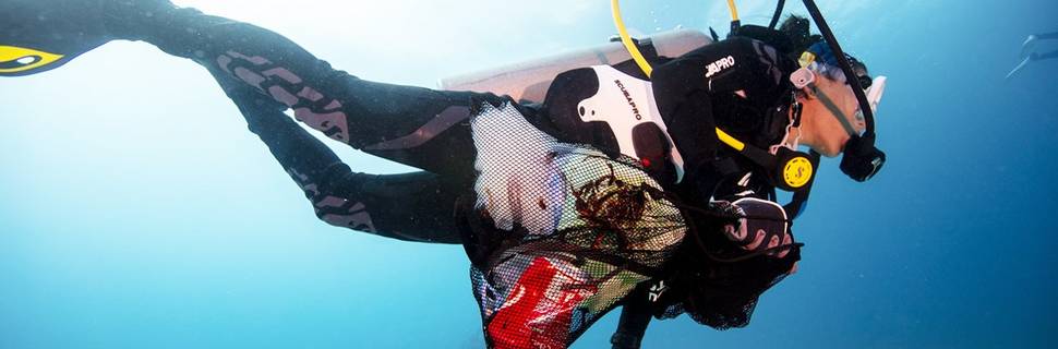 Forster Dive Centre