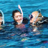 Ocean Diving Center