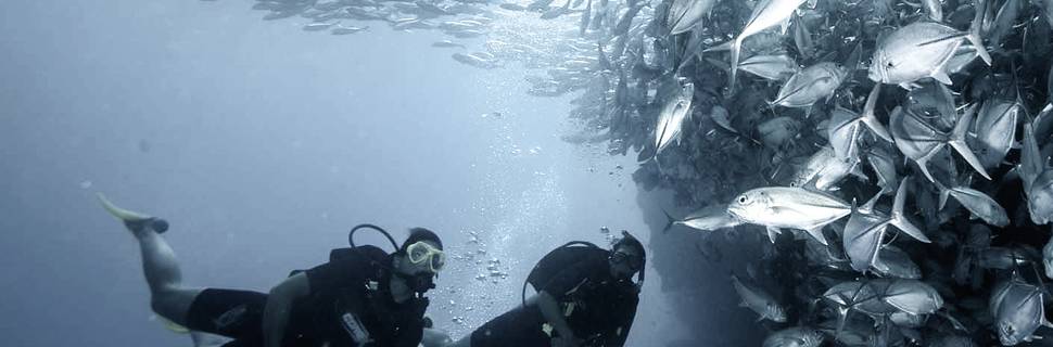 Oceano Adventures