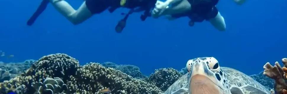 Gili Island Diving Center