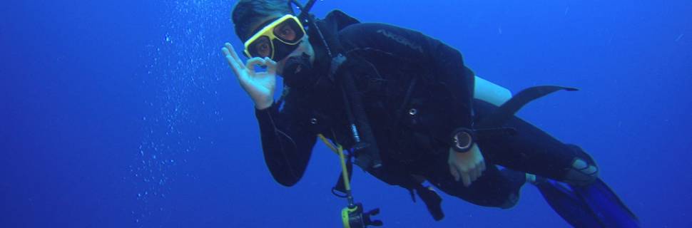 Scuba ID
