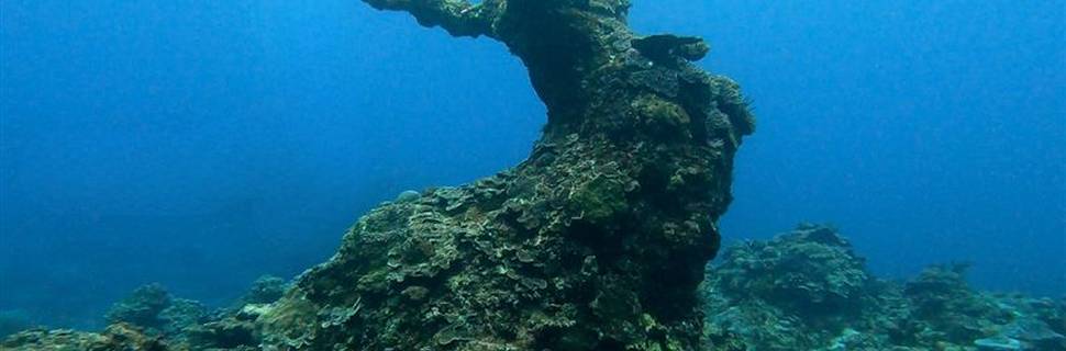 Blue Safari Diving Center