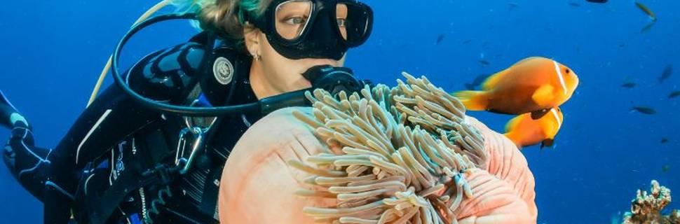 nusapenidadivecenter