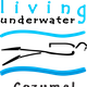 Living Underwater