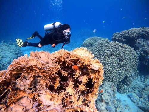 Aqaba Leaders dive center