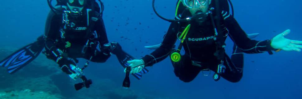 Diving Stones