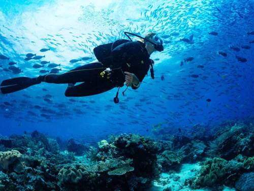 Blue Sea Dive Club Sharm (White Hills)
