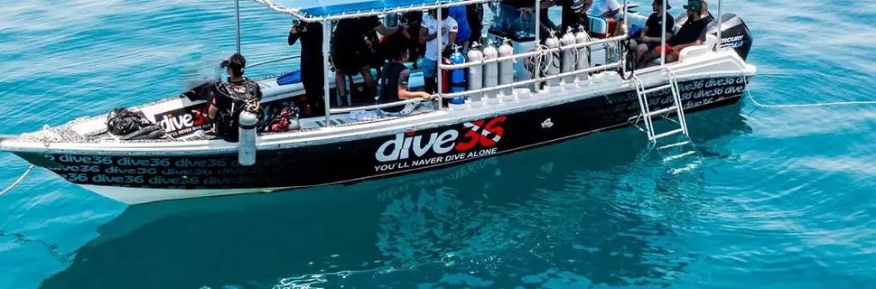 Dive36