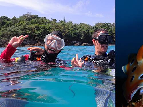 Local Dive Thailand
