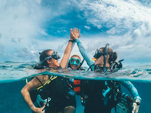Ocean Turtle Diving
