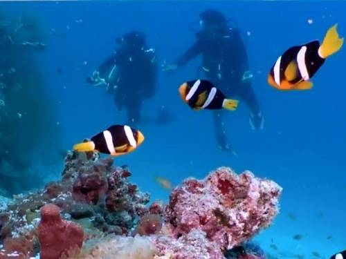 Amilla Maldives