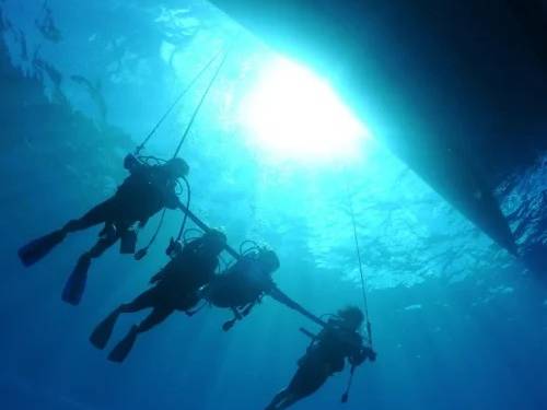 Nemo Dive Club