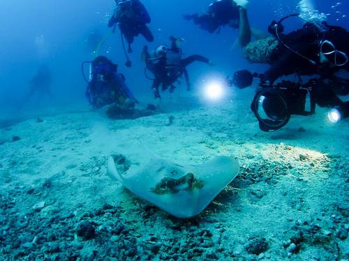 S10 DIVING CENTER