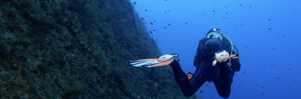 Orca Dive Club