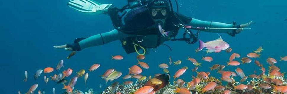 Scuba Junkie Komodo Beach Resort