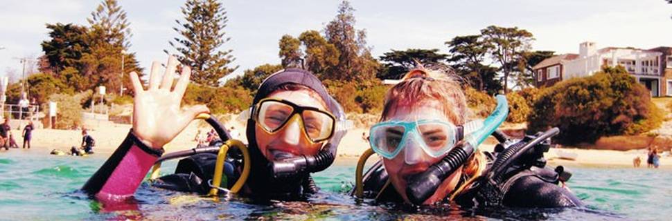 Bayplay Dive Resort - Melbourne