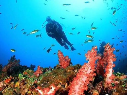 Bali Scuba
