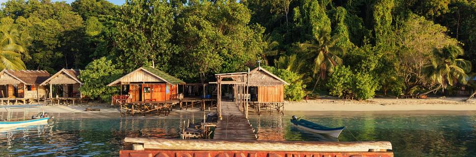 Tarzan-Diving Dive Center