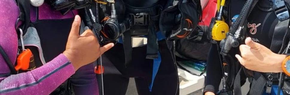 All 4 Diving Bali