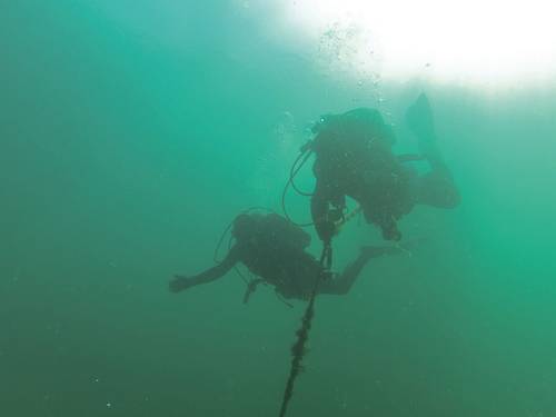 Dive Beyond