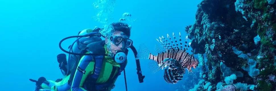 Go Diving