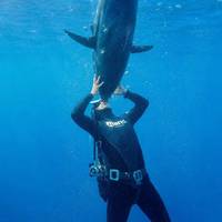 Club La Sirene