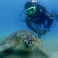 Blue Sea Diving Center