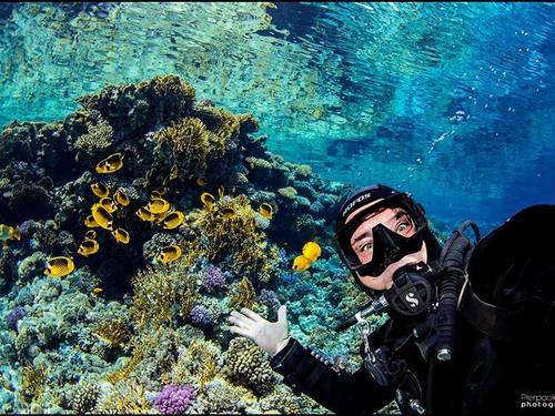 Sinai Dive Club Maldives