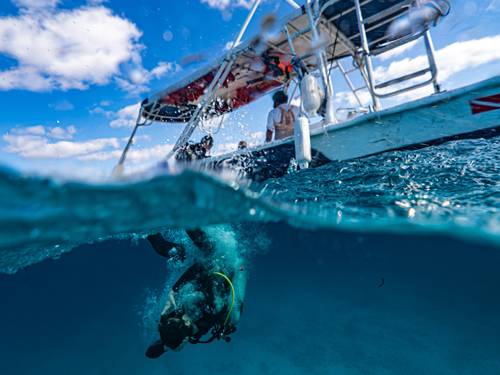 Pocna Dive Center - PADI 5 Star IDC Center / PADI 5 Star Resort