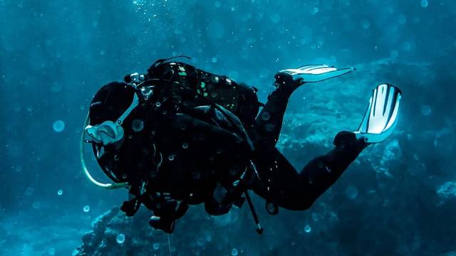 Dive HQ Wellington