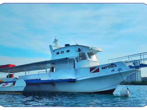 South Shore Divers
