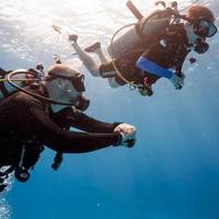Plongée Koh Phangan Diving