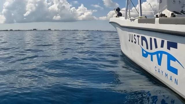 Just Dive