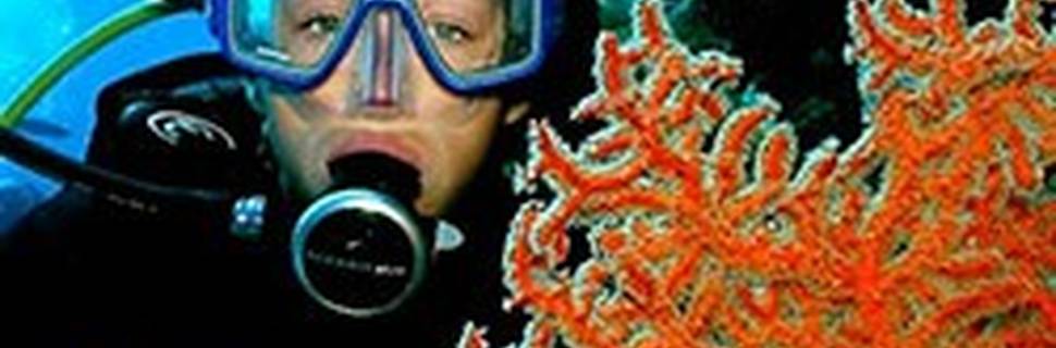 Blue Dive Port Douglas