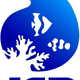 Jam Marine Club