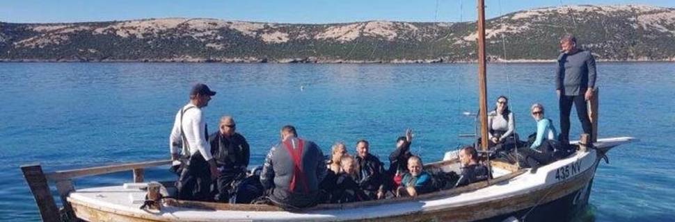 Connex diving