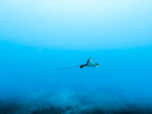 Labriz Dive Center