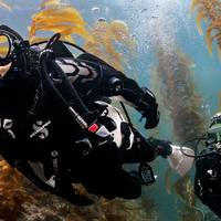 Dive Otago Ltd.