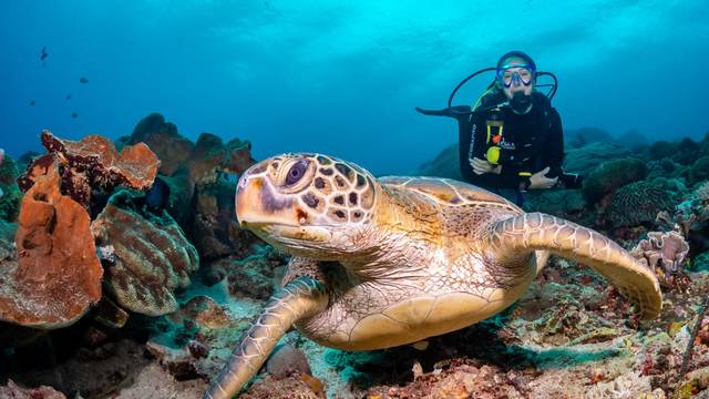Bali Hai Diving Adventures Lembongan