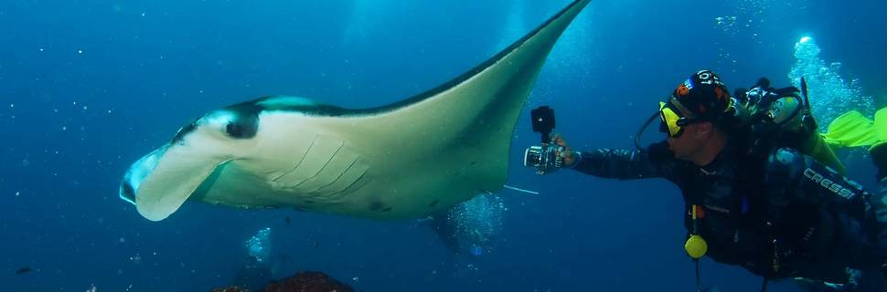 Niva Dhigali Maldives