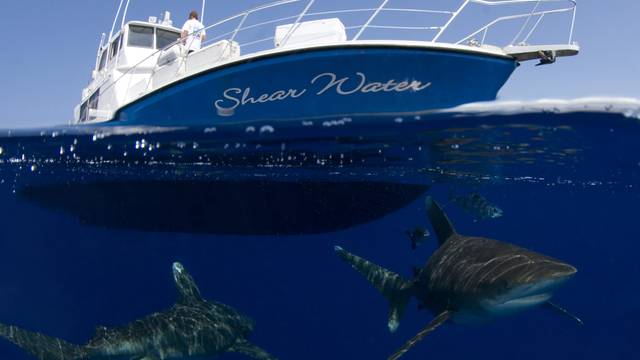 Shear Water Liveaboard