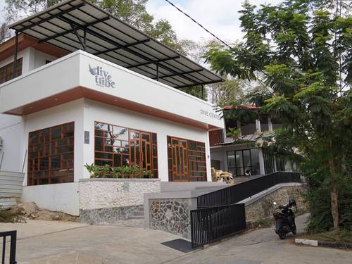Dive Tribe