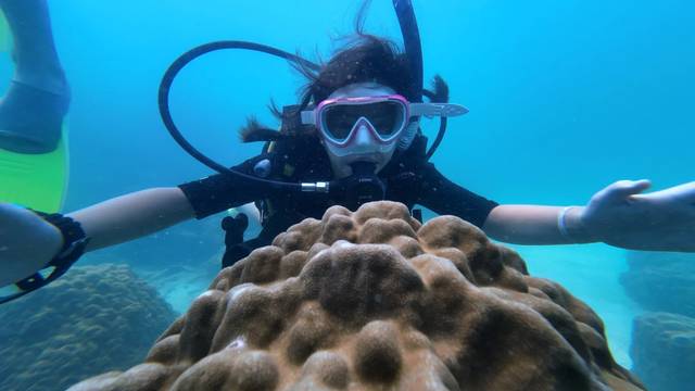 Batu Batu Dive