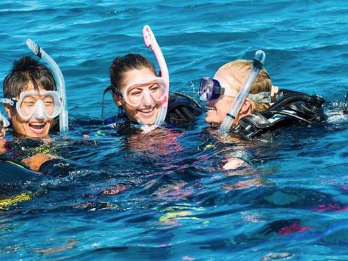 Ocean Diving Center
