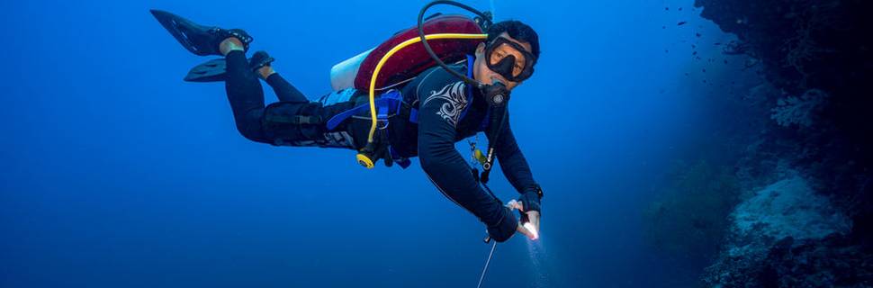 The Shark's Tail Dive Resort