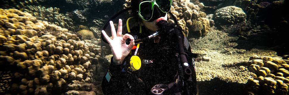 Sea Wonders Diving Center