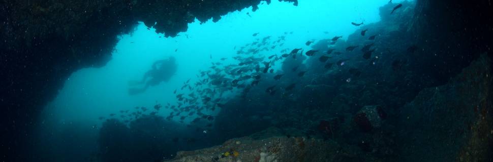 Orient Blue Dive Center