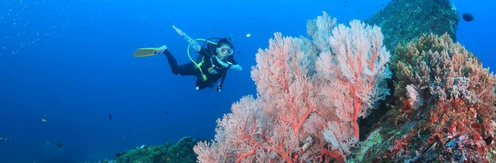 Bangtao Dive Center